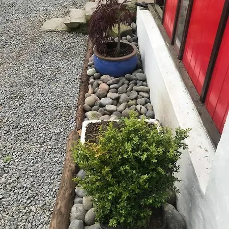 Stone Wall Cottage Castlewellan Exterior photo